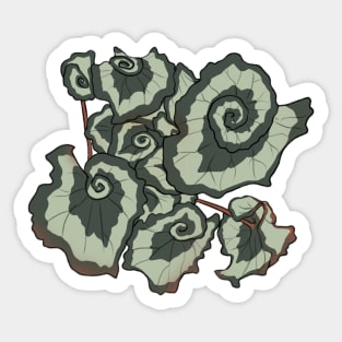 Escargot Begonia Sticker